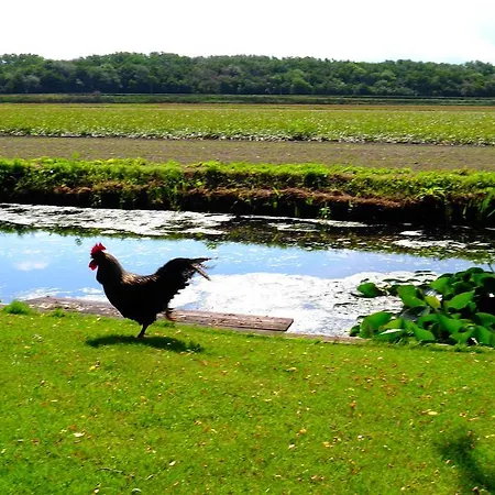 Bed & Breakfast Engelen Aan Zee